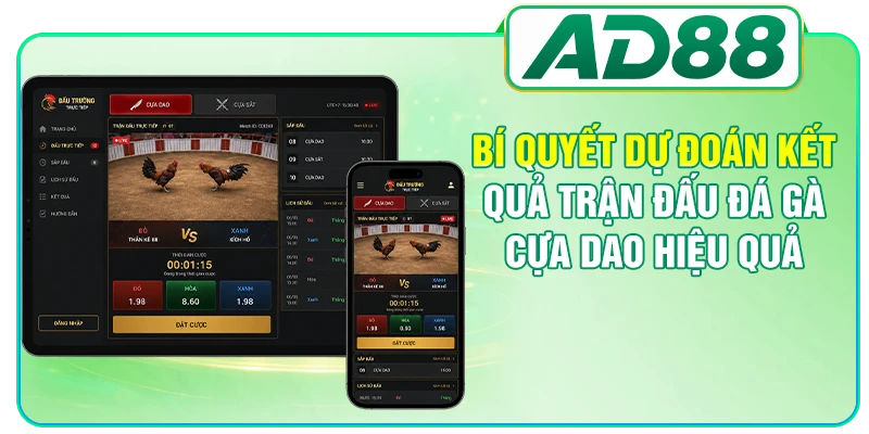 Bí quyết dự đoán kết quả trận đấu đá gà cựa dao hiệu quả