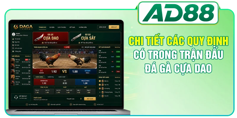 Chi tiết các quy định có trong trận đấu đá gà cựa dao