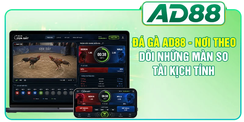 Đá Gà AD88 - Nơi Theo Dõi Những Màn So Tài Kịch Tính