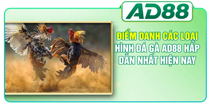 Điểm danh các loại hình đá gà AD88 hấp dẫn nhất hiện nay