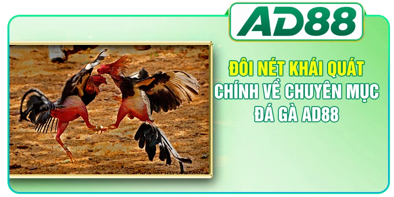 Đôi nét khái quát chính về chuyên mục đá gà AD88