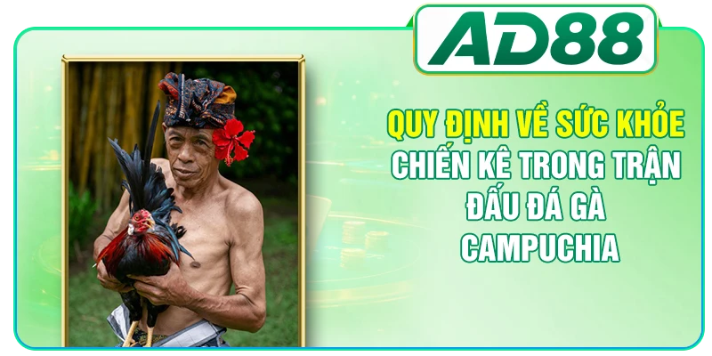 Quy định về sức khỏe chiến kê trong trận đấu đá gà Campuchia